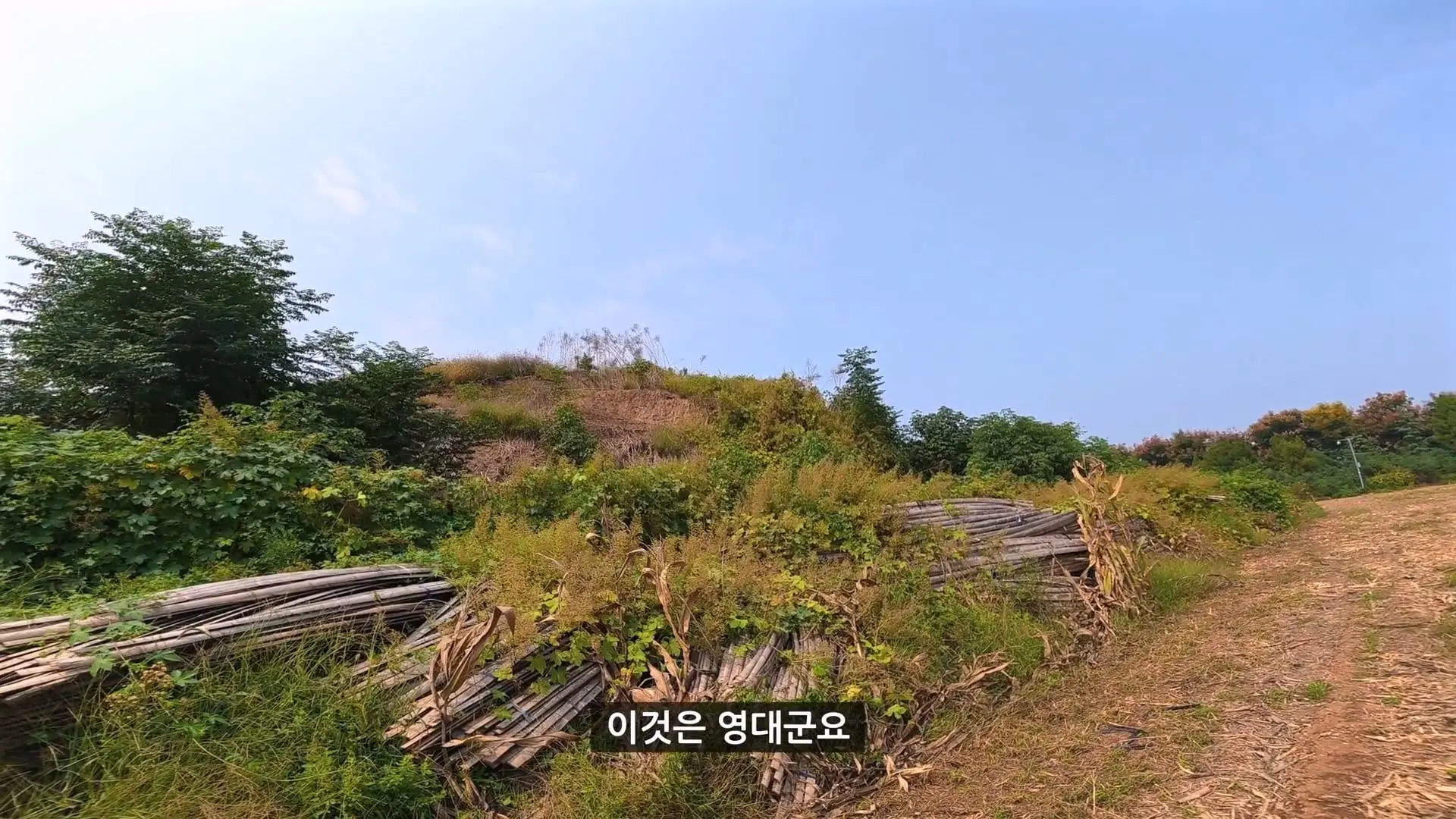 위명제 조예, 위나라의 정통성을 다진 숨겨진 성군ㅣ위진시대 예제 1편.mp4_20261024_141638.652.jpg