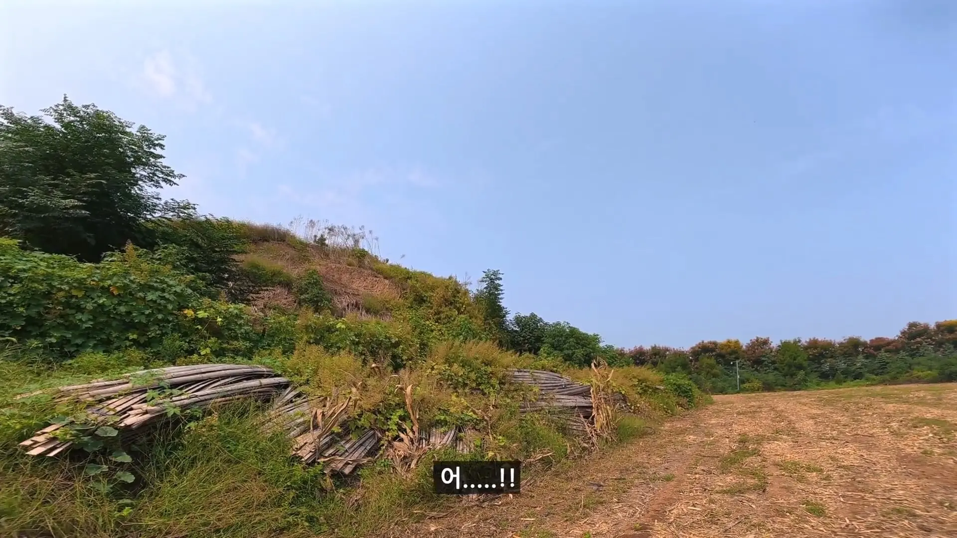 위명제 조예, 위나라의 정통성을 다진 숨겨진 성군ㅣ위진시대 예제 1편.mp4_20261024_141642.549.jpg