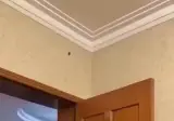 확실하게 바퀴벌레 잡는 방법
