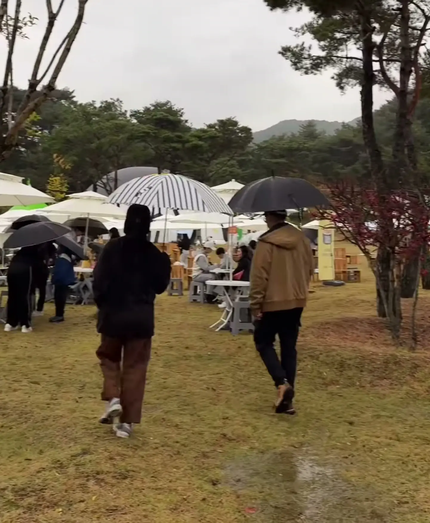 p2122 (1).WEBP