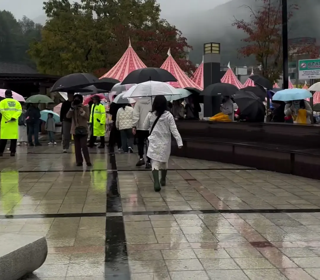p2122 (11).WEBP