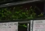 초등학생들이 운동회 한다고 담벼락에 붙인 것.jpg