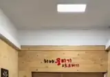 트젠녀의 뭉티기맛집 브이로그