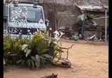 눈치없이 끼어드는 댕댕이.mp4