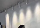 중국 부자가 의뢰한 예술 작품