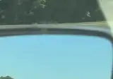 BMW 입 터는거 보소