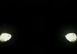 디지몬이 포켓몬보다 인기없는 이유