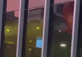 🇨🇳 한국 아이돌 팝업 스토어에 방문한 중국인