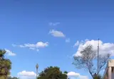서양 자전거 민폐 영상 논란.mp4