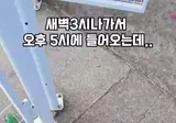 하루종일 나갔다 늦게 집에 들어왔을 때 댕댕이 반응.mp4