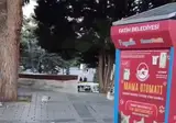공짜밥 먹는 법을 터득한 터키 갈매기