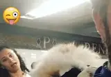 매일 웰시코기 등에 업고 출근하는 남자.gif
