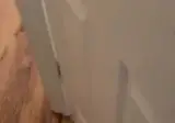 주인 코로 붙잡는 댕댕이
