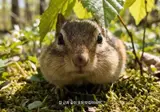 담당자 포상줘야된다는 말이 많은 유한킴벌리 유튜브