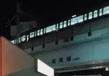 도쿄 뒷골목 라면.gif