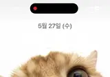 아이폰 배경화면 만들기