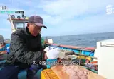 회 한 점 떠서 장에 찍어서 흰 쌀밥에 얹어서 먹기