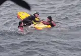 50ｍ 해안 절벽 아래로 추락한 반려견, 해경이 구조…