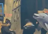 금연구역에 담배 피는 사람.mp4