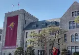 졸업 기념 학사모를 던지는 여대생