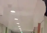 임산부 내던지고 머리채끄는 네덜란드 경찰관