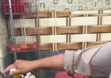 인도식 길거리 패티 ㄷㄷ.gif