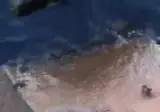 후...너네는 이런거 하지 마라