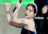 올 여름엔 많이 못 볼수도 있는 비비지 은하