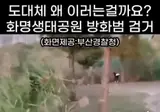 부산 생태공원 방화범 검거 현장