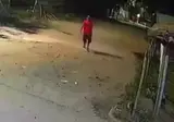 들개 무리에 습격당한 남자의 침착한 대처.mp4