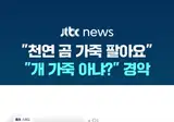 당근마켓에 올라온 곰가죽 러그?