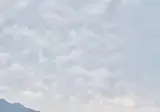 파이리 스노우볼 굴린 거제도 근황