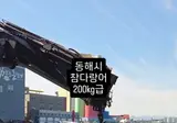 오늘 동해 묵호 앞바다에서 잡힌 참다랑어