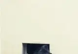 세계에서 화제가 된 일본 미남고릴라 2세 근황