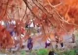 연못에 괴생명체 출현ㄷㄷ