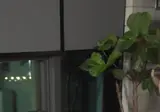 원주 가기 전까지 파라파라나 추고 있어야 겠다