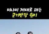 💃 미나미, 원이한테 얻어맞았다 🥊