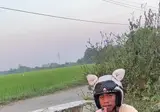 실내화를 이용한 시네마틱 영상 찍기