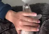 아깽이 쭉쭉이 근황