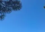 어제 미국에서 F/A-18 추락하는 장면