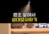 원조 앞에서 성대모사하기(차승원)