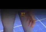 변기에다 거미넣고 물내리면 안되는 이유
