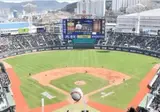 KBO 움짤 금지 시절 짤 모음.gif