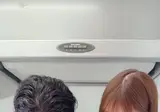털에 대한 이중성