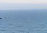 강원도 동해살면 매일 볼수있는 풍경 ㄷㄷ