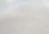 인간 vs 타조 일기토.mp4