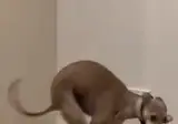 젠장! 흥분을 주체 할 수가 없어!♡
