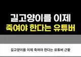 길고양이를 이제 죽여야 한다는 유튜버