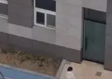 산책 나간 손녀와 할아부지