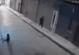가만히 있는 개를 발로 차는 남성.gif